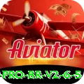 5393 Pro BR v2.6.5