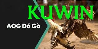 Đá Gà Trực Tiếp - Trải nghiệm tuyệt vời - Game MOBA