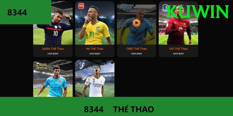 Cá Cược Thể Thao - kuwin - Tin tức