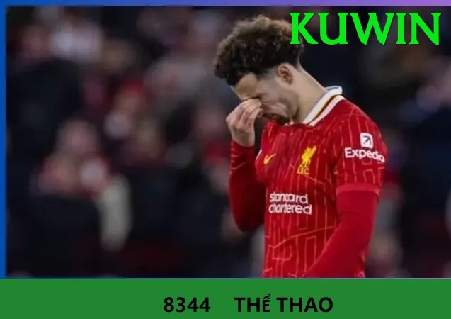 Cá Cược Thể Thao - Trải nghiệm tuyệt vời - Hỗ trợ